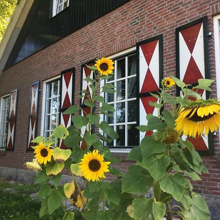 Erve Het Roolvink Boerderij Appartementen 40-50 M2 恩斯赫德 外观 照片