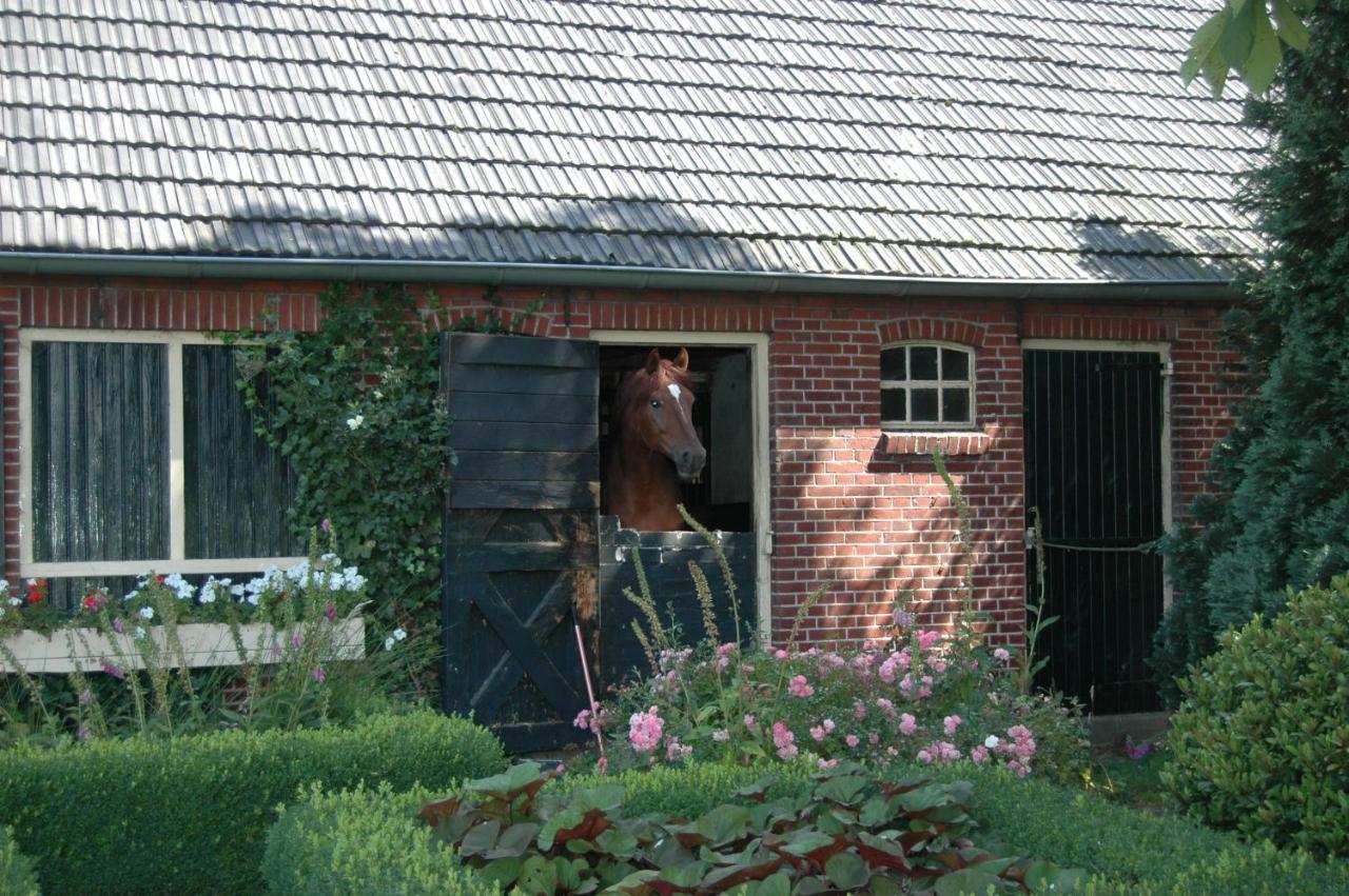 Erve Het Roolvink Boerderij Appartementen 40-50 M2 恩斯赫德 外观 照片