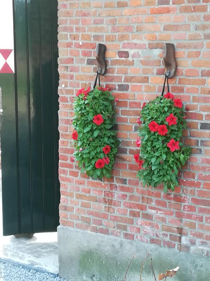 Erve Het Roolvink Boerderij Appartementen 40-50 M2 恩斯赫德 外观 照片