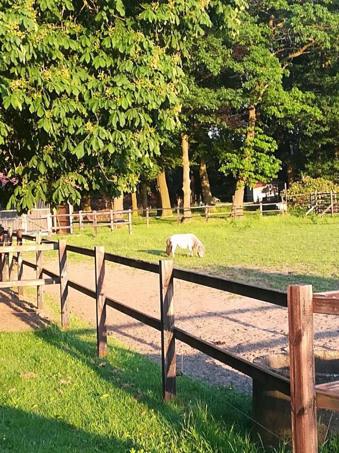 Erve Het Roolvink Boerderij Appartementen 40-50 M2 恩斯赫德 外观 照片