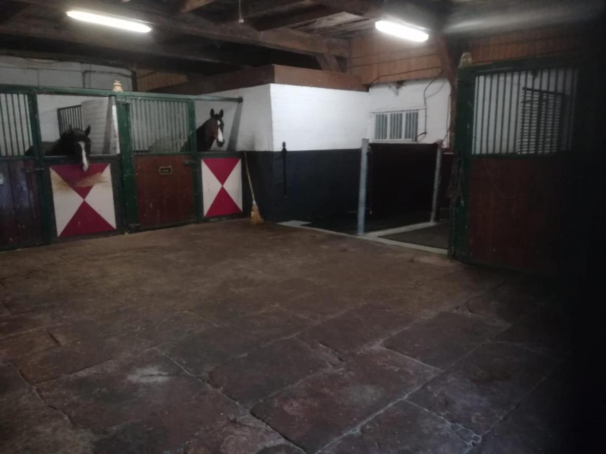 Erve Het Roolvink Boerderij Appartementen 40-50 M2 恩斯赫德 外观 照片
