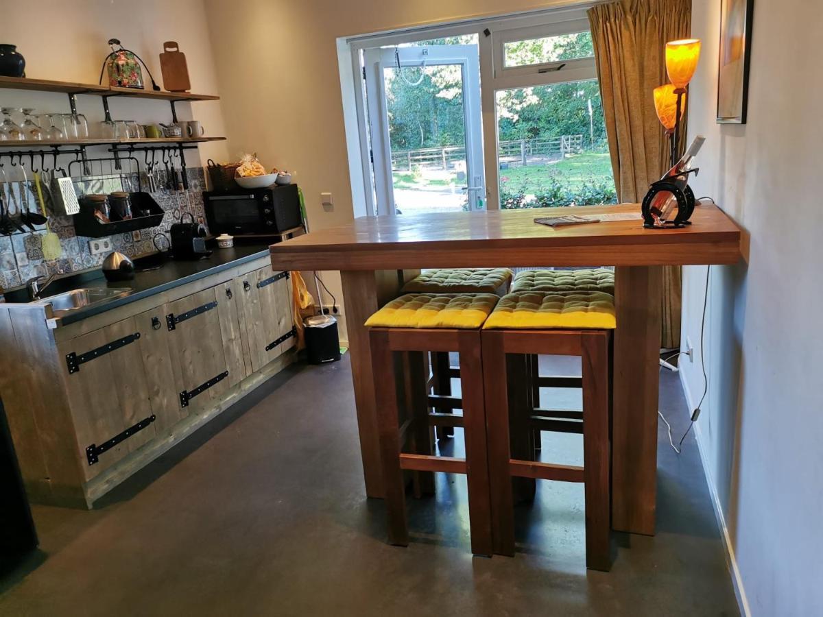 Erve Het Roolvink Boerderij Appartementen 40-50 M2 恩斯赫德 外观 照片