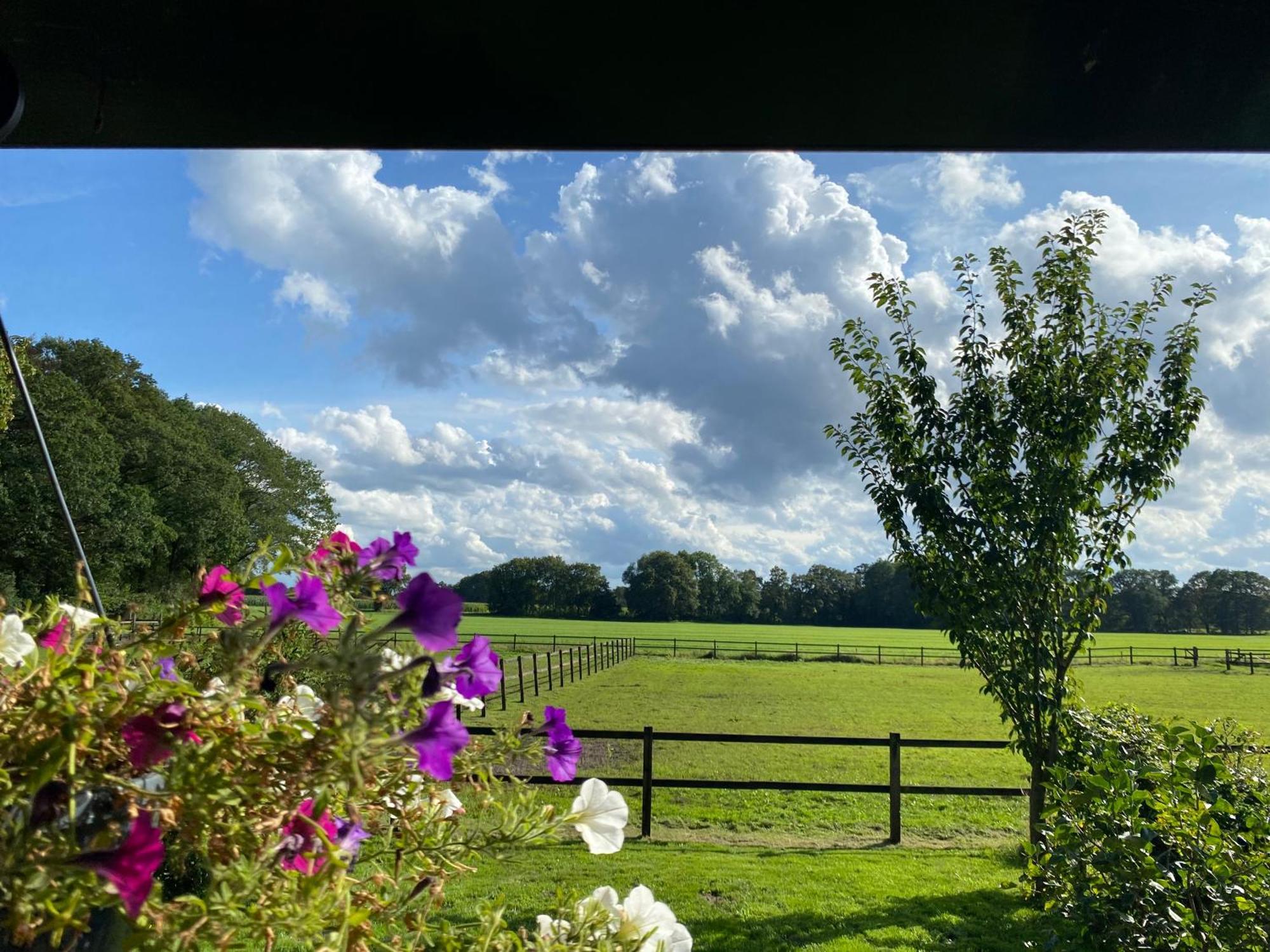 Erve Het Roolvink Boerderij Appartementen 40-50 M2 恩斯赫德 外观 照片