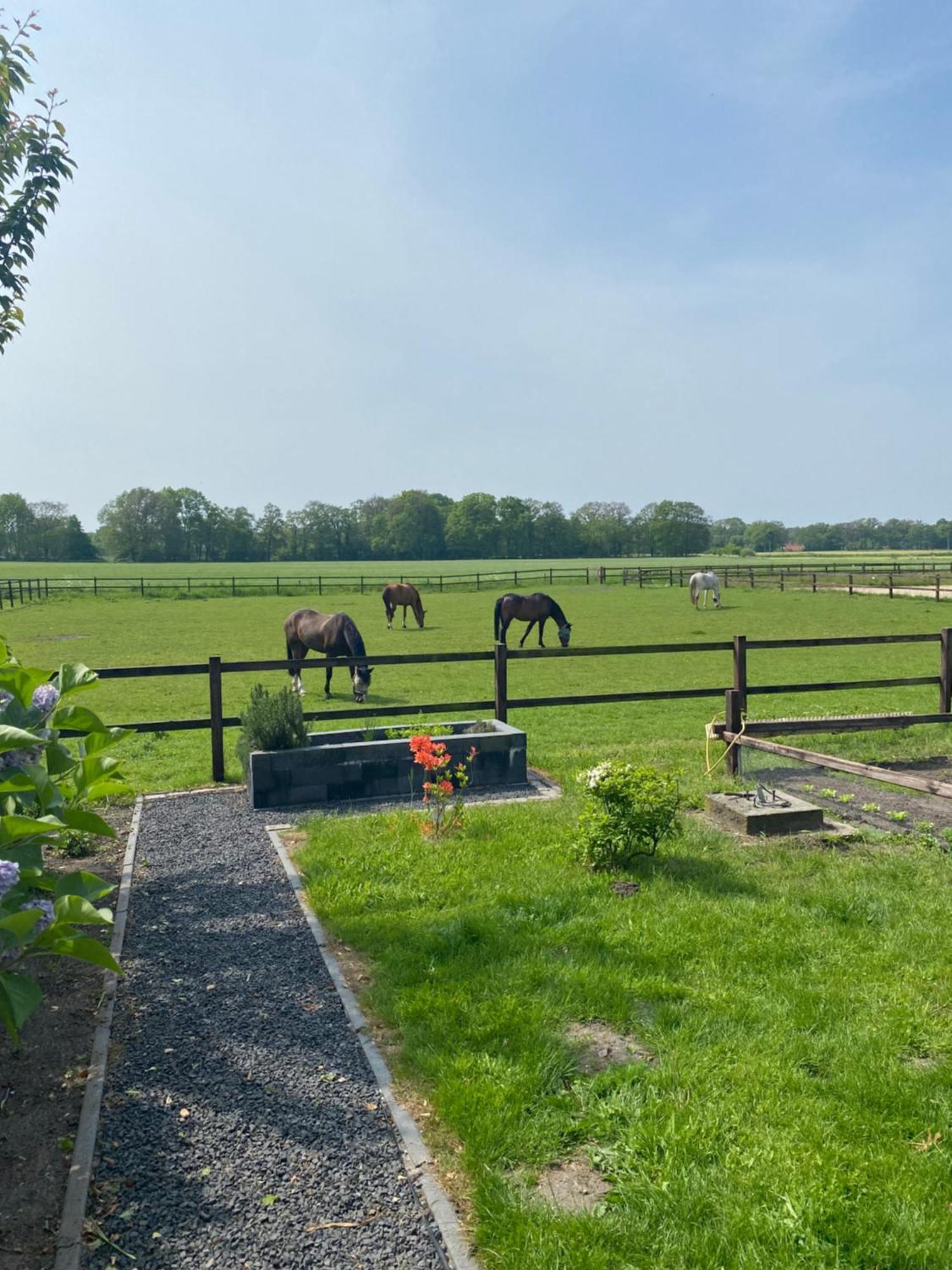Erve Het Roolvink Boerderij Appartementen 40-50 M2 恩斯赫德 外观 照片